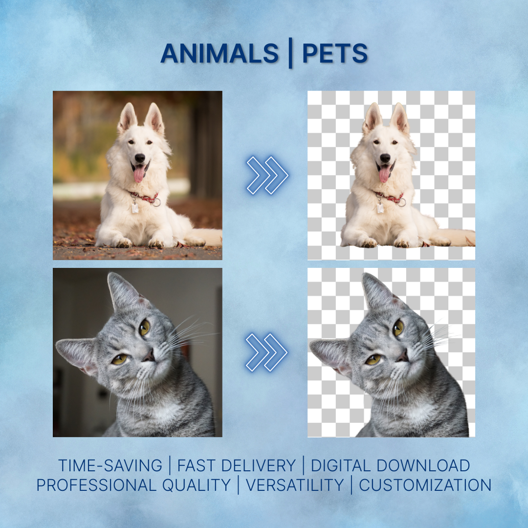 Suppression d'arrière-plan | Retouche d'image