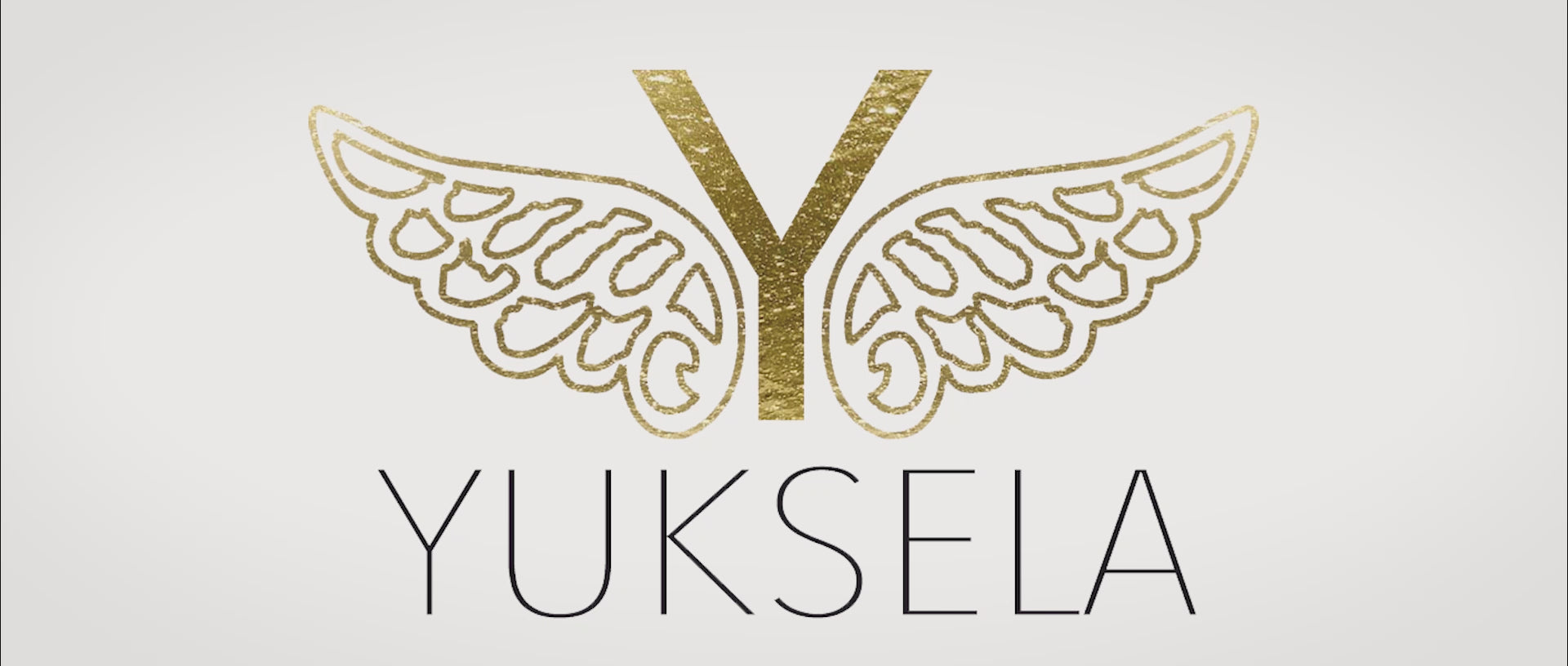 Charger la vidéo : 